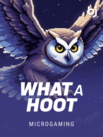What A Hootpng game thumbnail